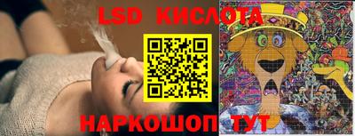 молекула духа Бердск