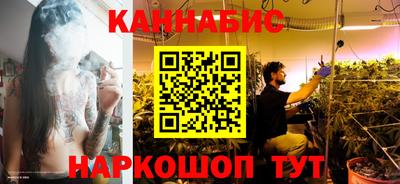 молекула духа Бердск