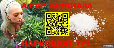 молекула духа Бердск